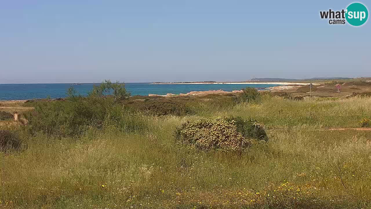 Playa Mari Ermi | Is Arutas – Oristano