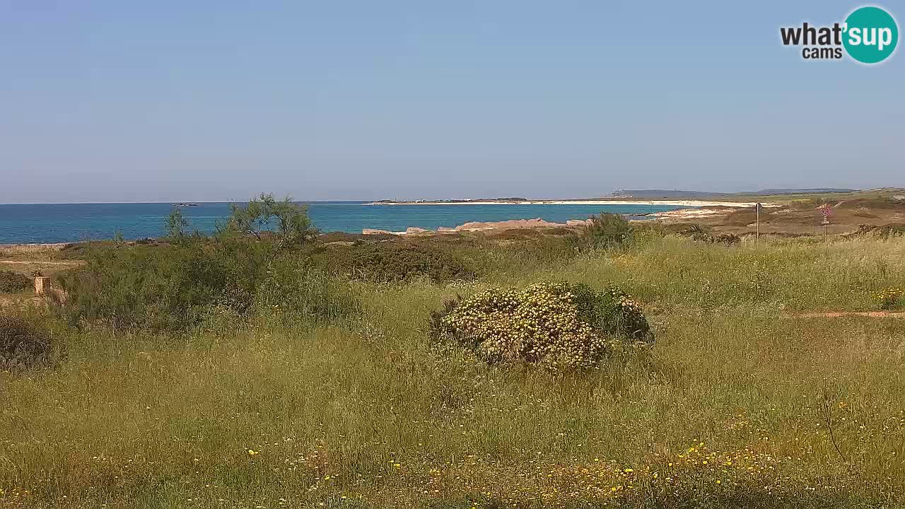 Plaža Mari Ermi | Is Arutas – Oristano