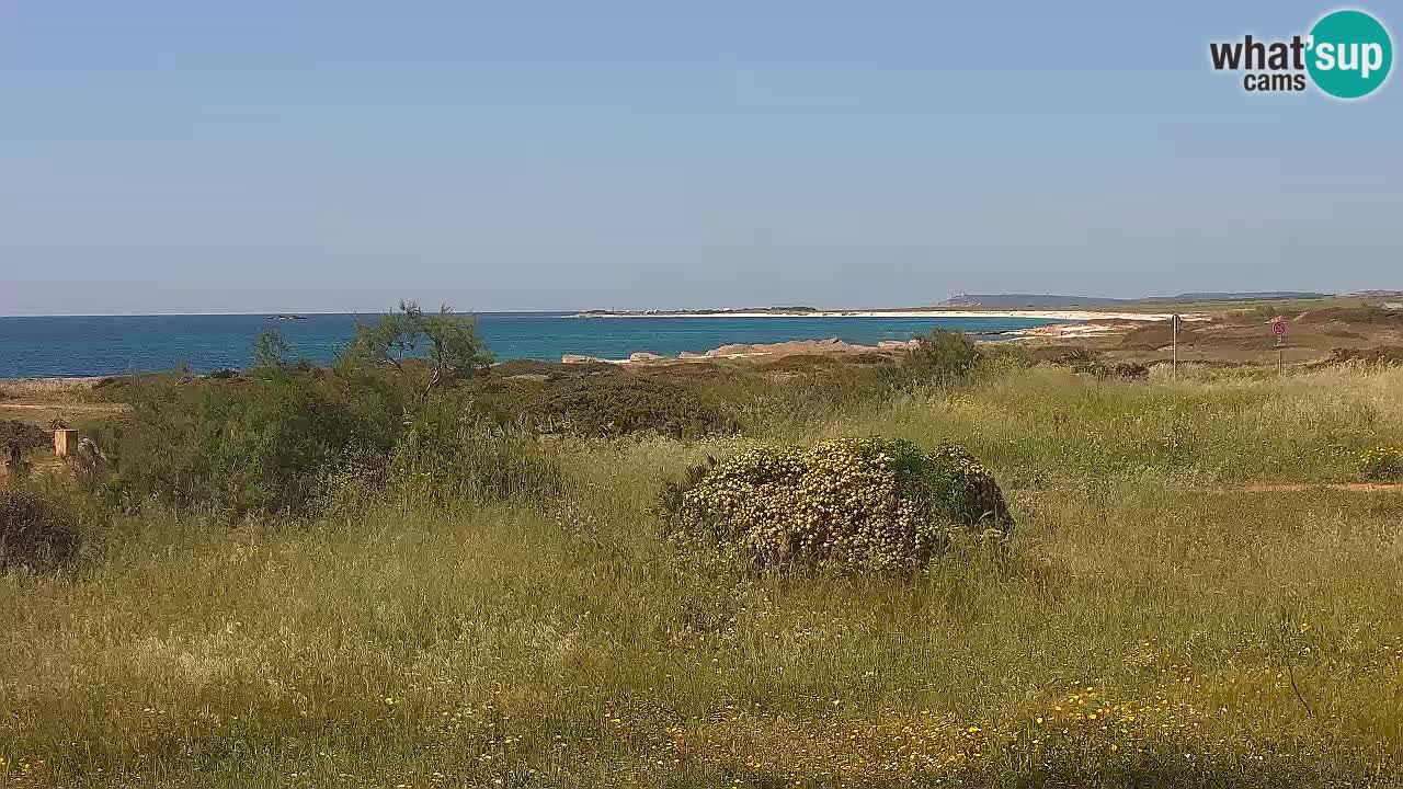 Mari Ermi Strand | Is Arutas – Oristano