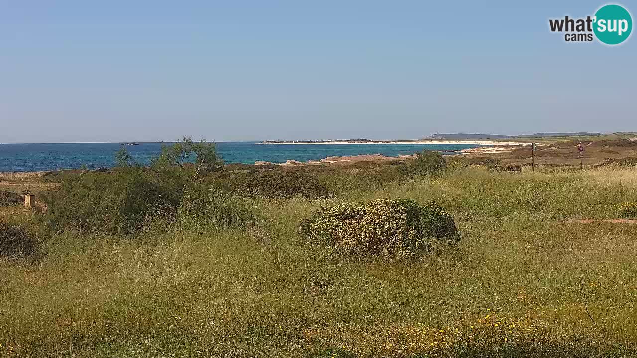 Mari Ermi beach | Is Arutas – Oristano