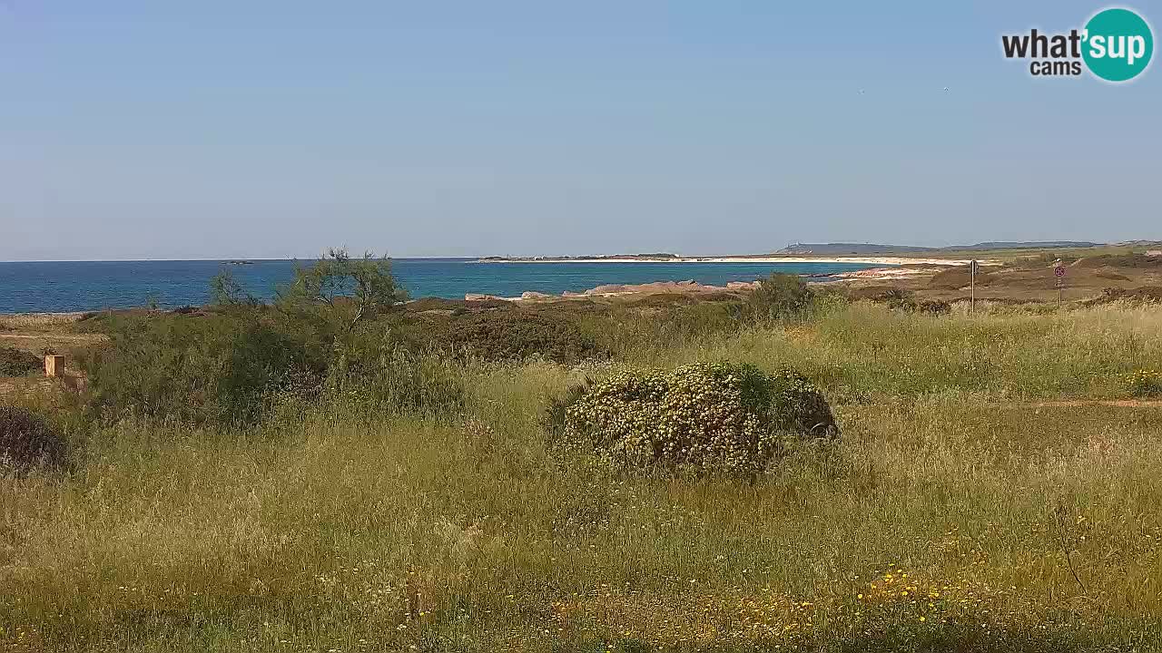 Plaža Mari Ermi | Is Arutas – Oristano