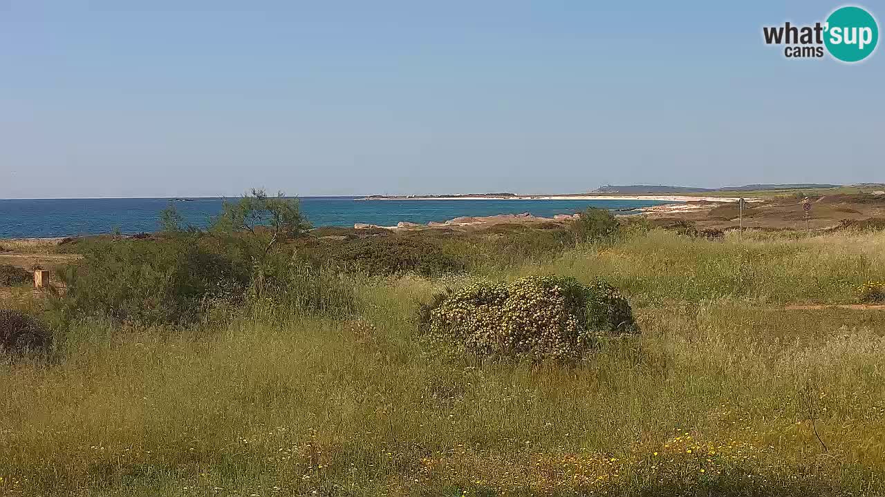 Mari Ermi beach | Is Arutas – Oristano