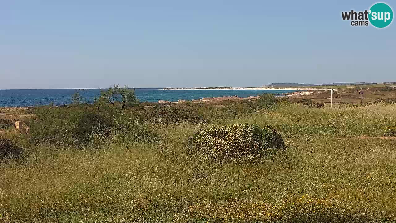 Plage Mari Ermi | Is Arutas – Oristano