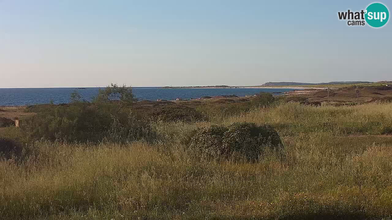 Mari Ermi beach | Is Arutas – Oristano