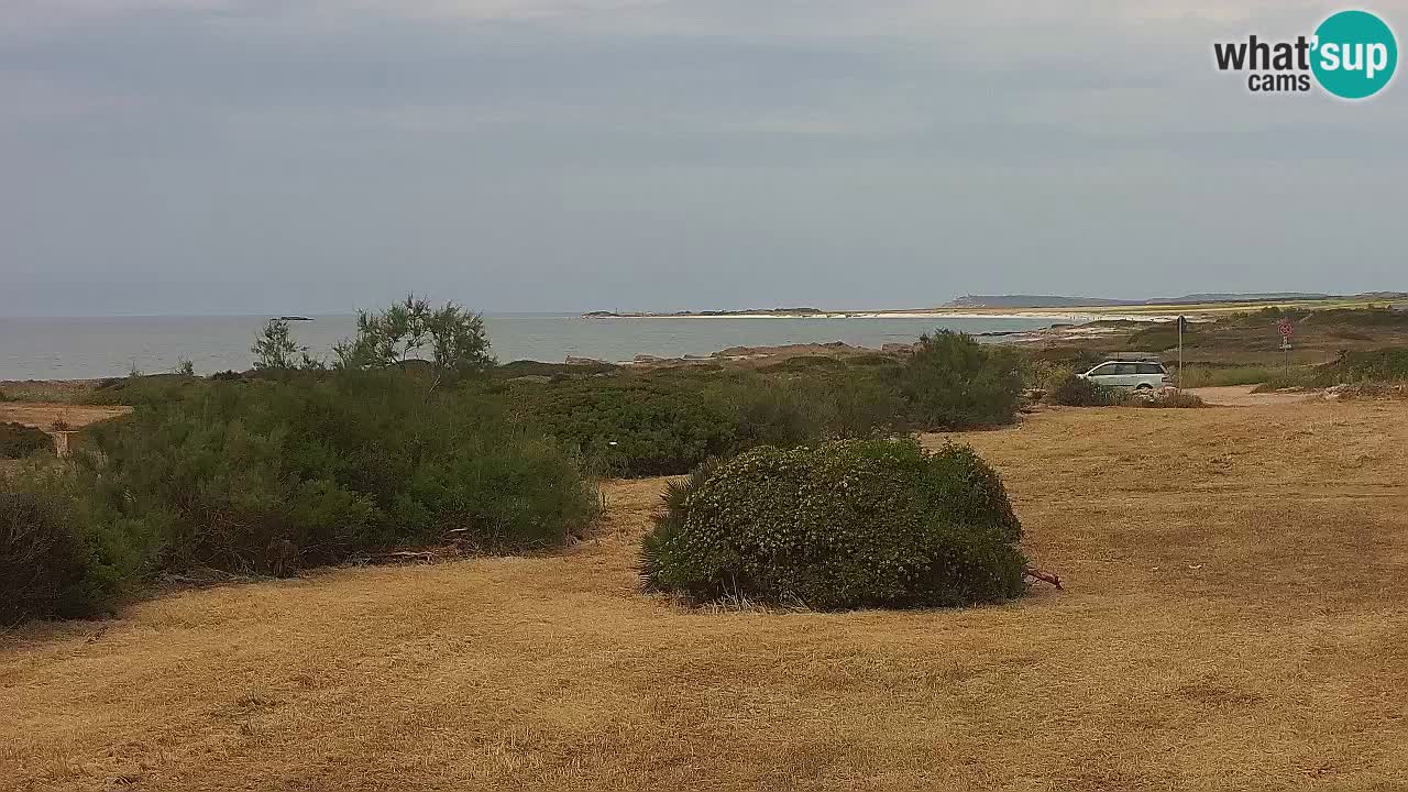 Plaža Mari Ermi | Is Arutas – Oristano