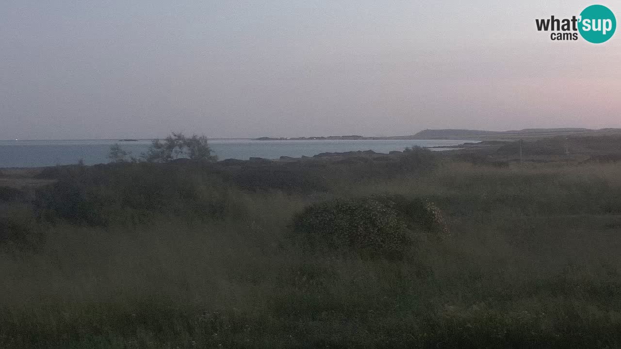 Plage Mari Ermi | Is Arutas – Oristano