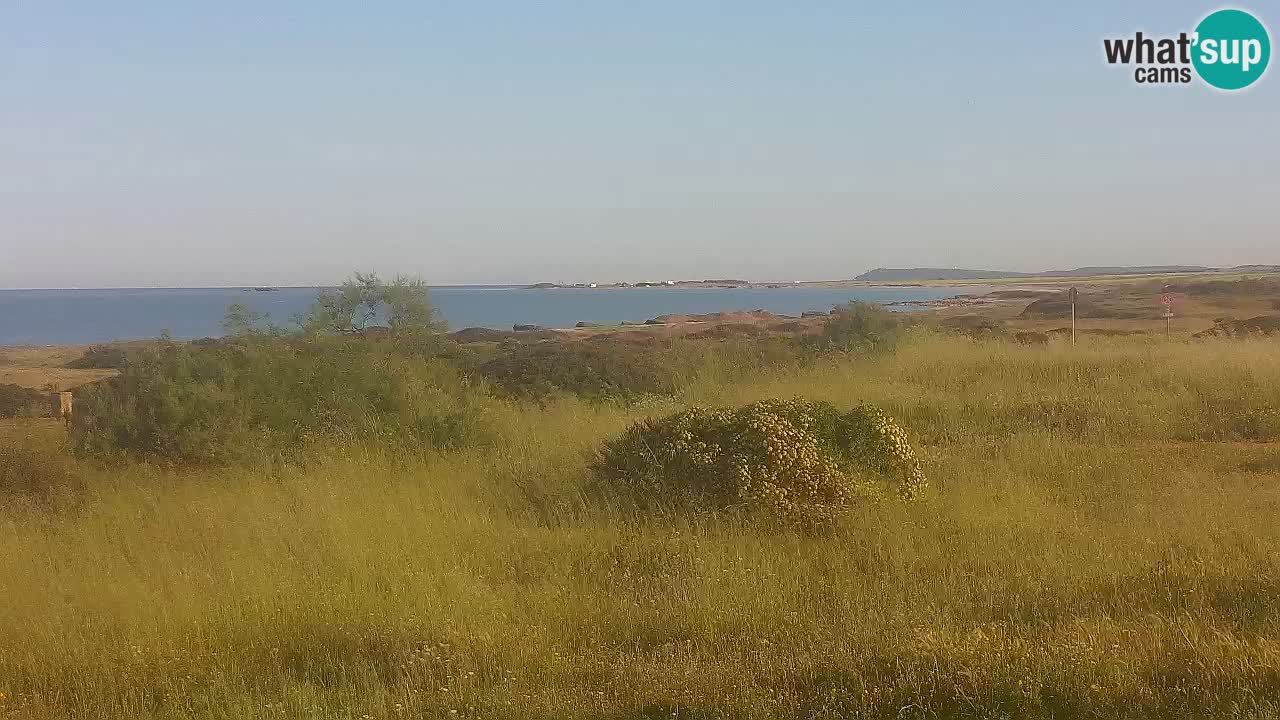 Plaža Mari Ermi | Is Arutas – Oristano