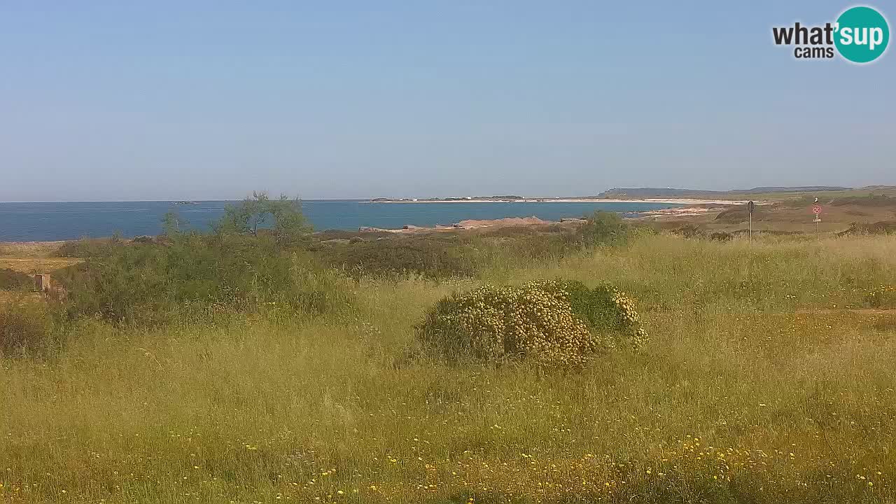Mari Ermi beach | Is Arutas – Oristano