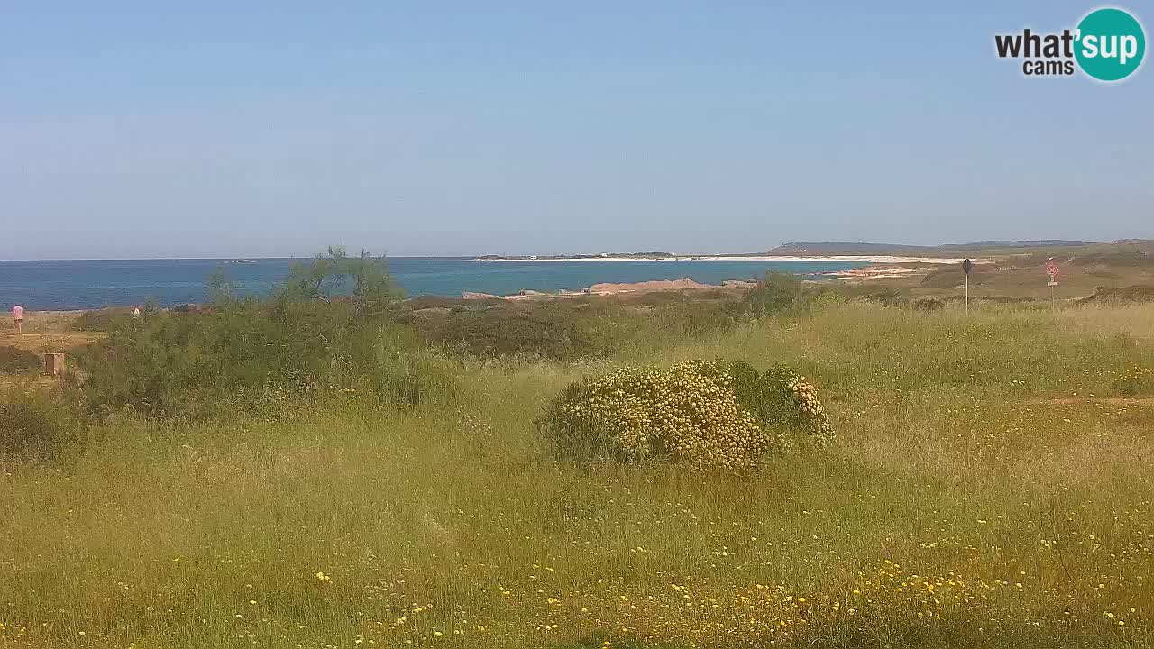 Mari Ermi beach | Is Arutas – Oristano