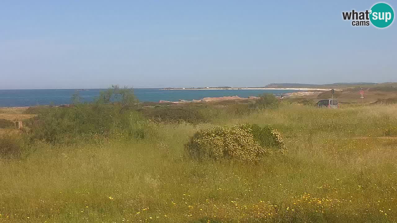Mari Ermi beach | Is Arutas – Oristano