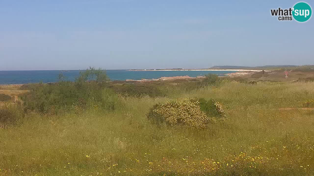 Plaža Mari Ermi | Is Arutas – Oristano