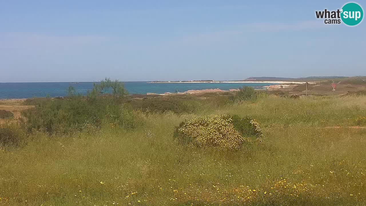 Mari Ermi beach | Is Arutas – Oristano