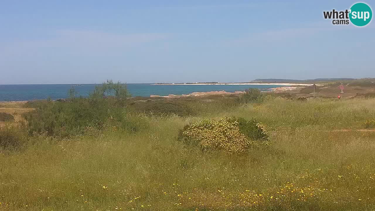Plaža Mari Ermi | Is Arutas – Oristano