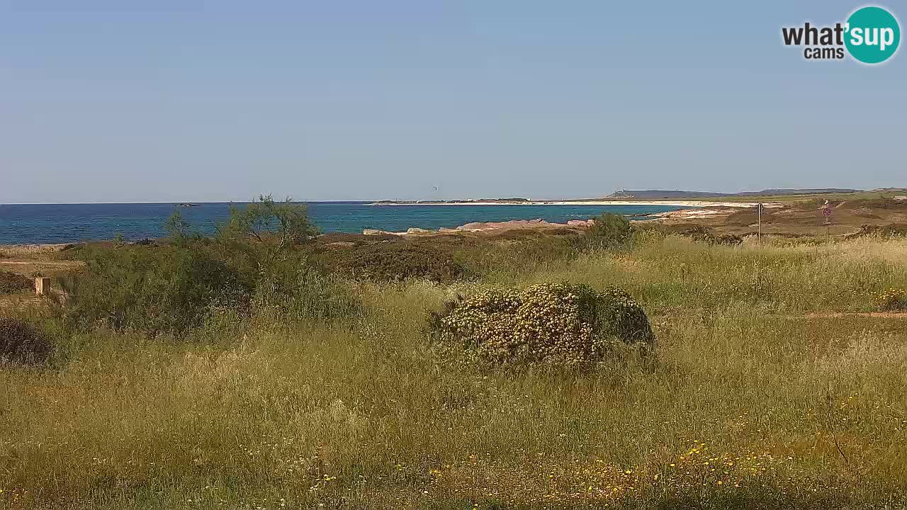 Mari Ermi Strand | Is Arutas – Oristano
