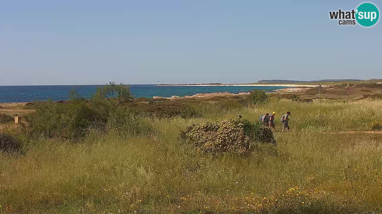 Mari Ermi beach | Is Arutas – Oristano