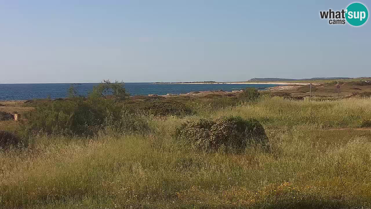 Playa Mari Ermi | Is Arutas – Oristano