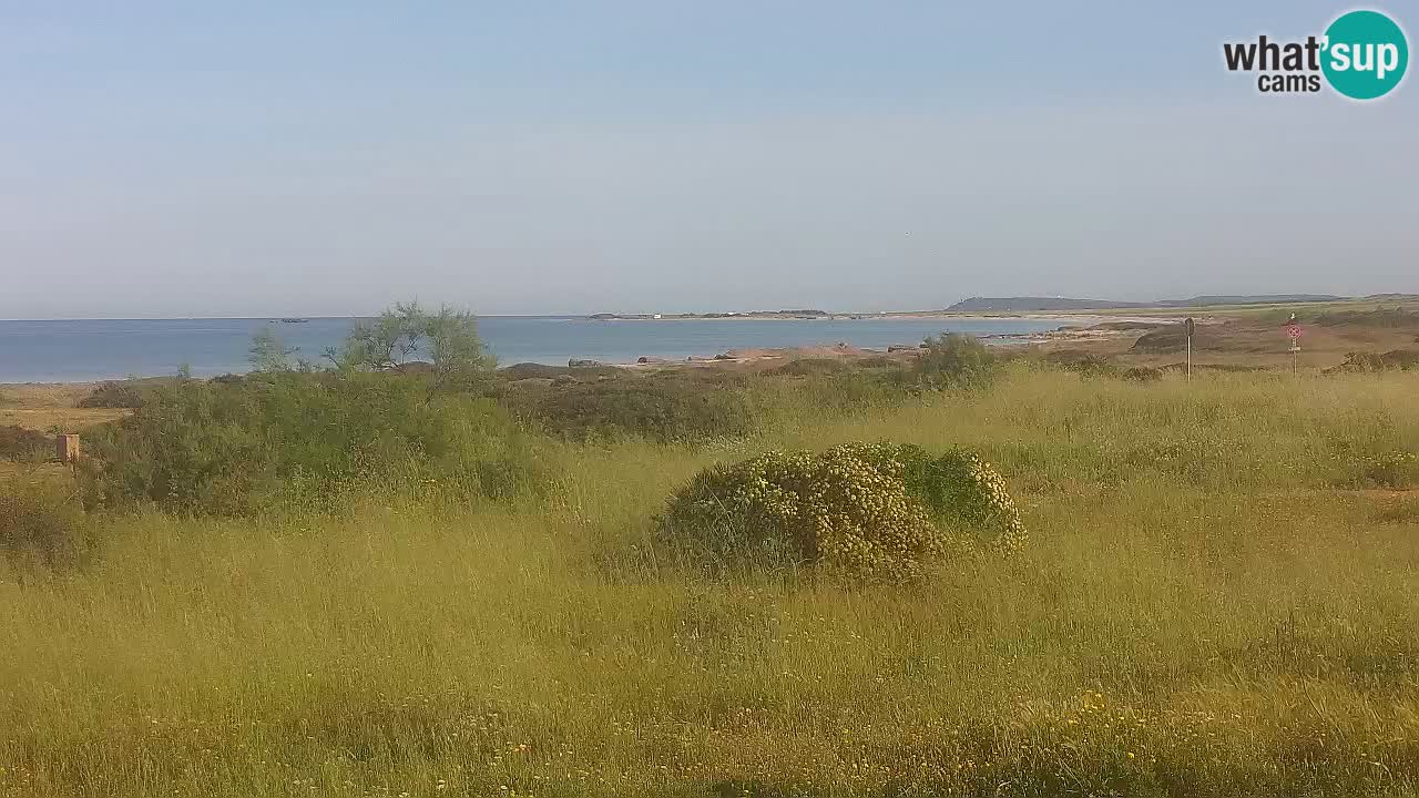 Mari Ermi beach | Is Arutas – Oristano