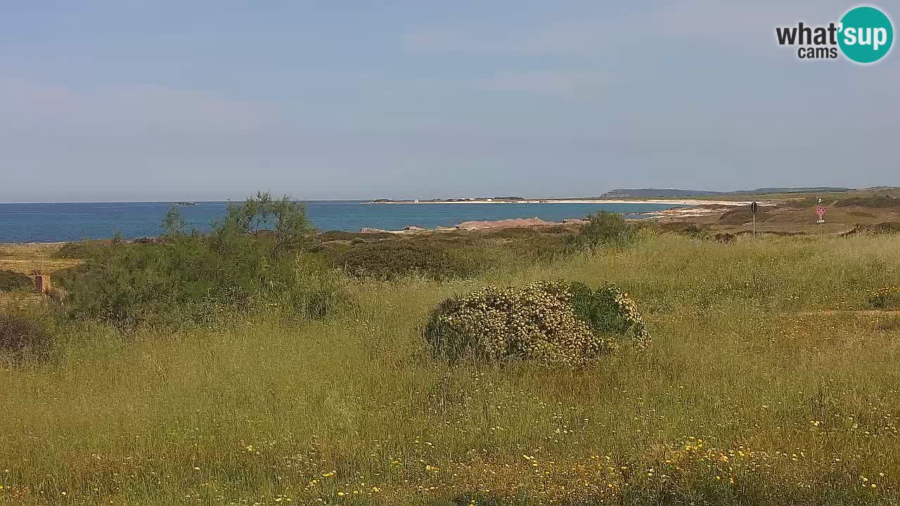 Mari Ermi beach | Is Arutas – Oristano