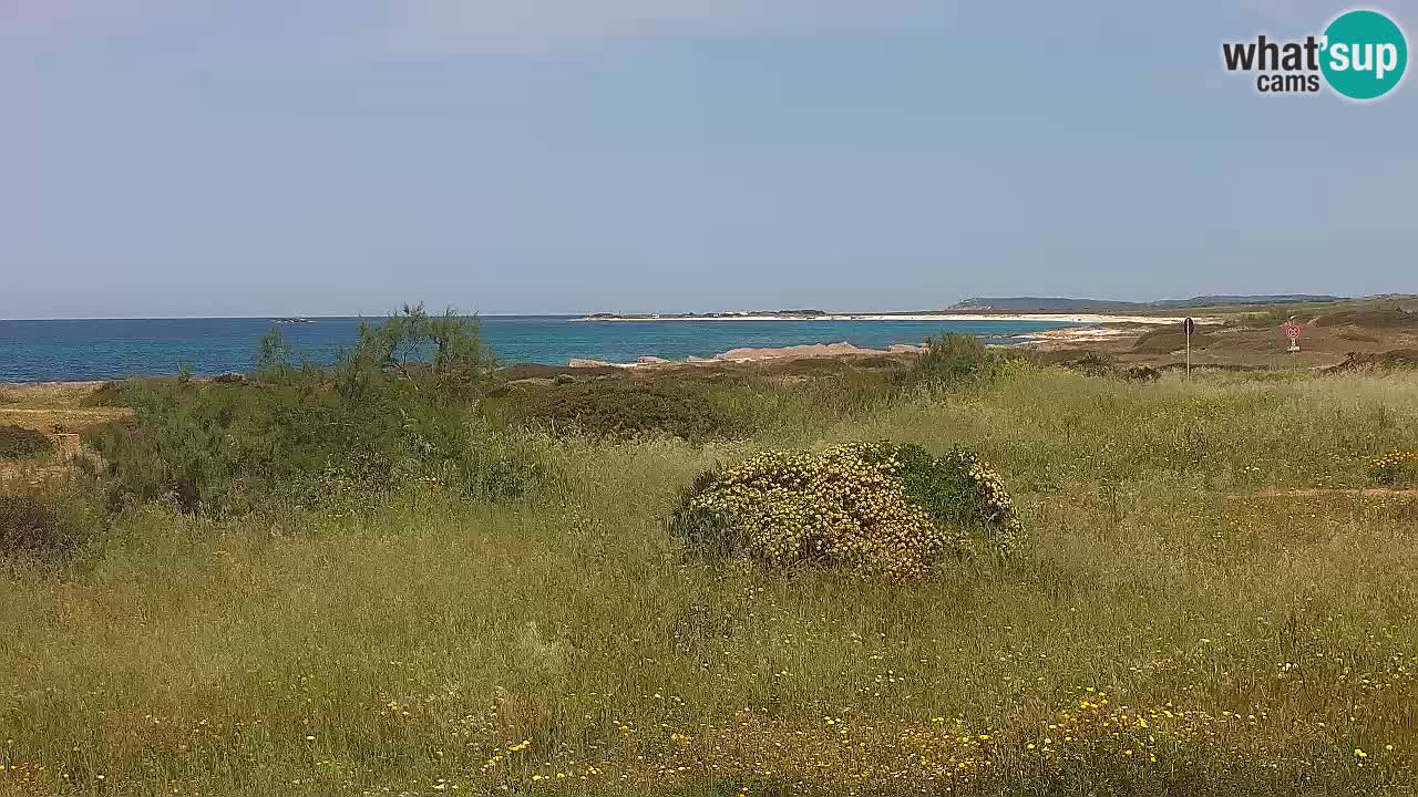 Mari Ermi beach | Is Arutas – Oristano