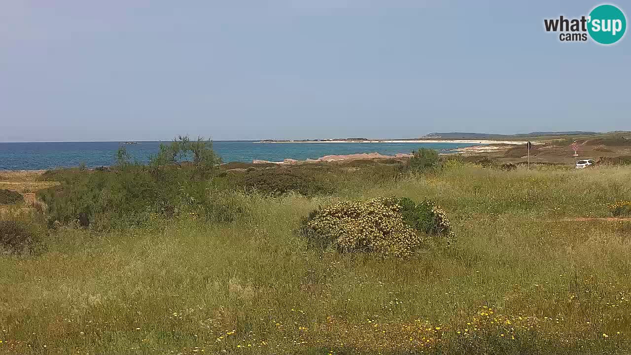 Mari Ermi beach | Is Arutas – Oristano
