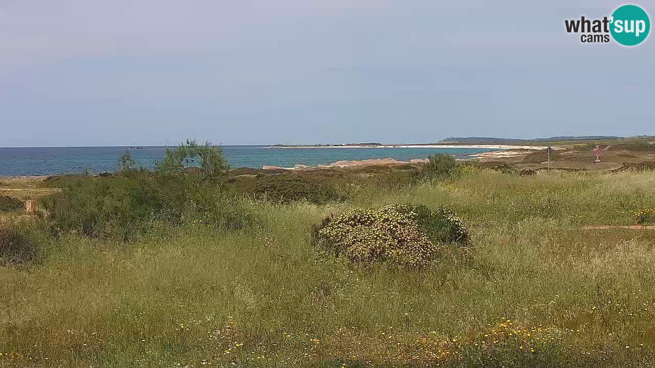 Mari Ermi beach | Is Arutas – Oristano