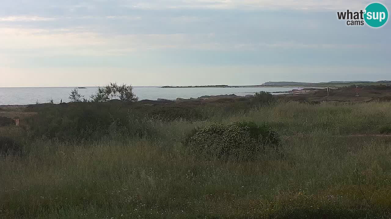 Mari Ermi beach | Is Arutas – Oristano