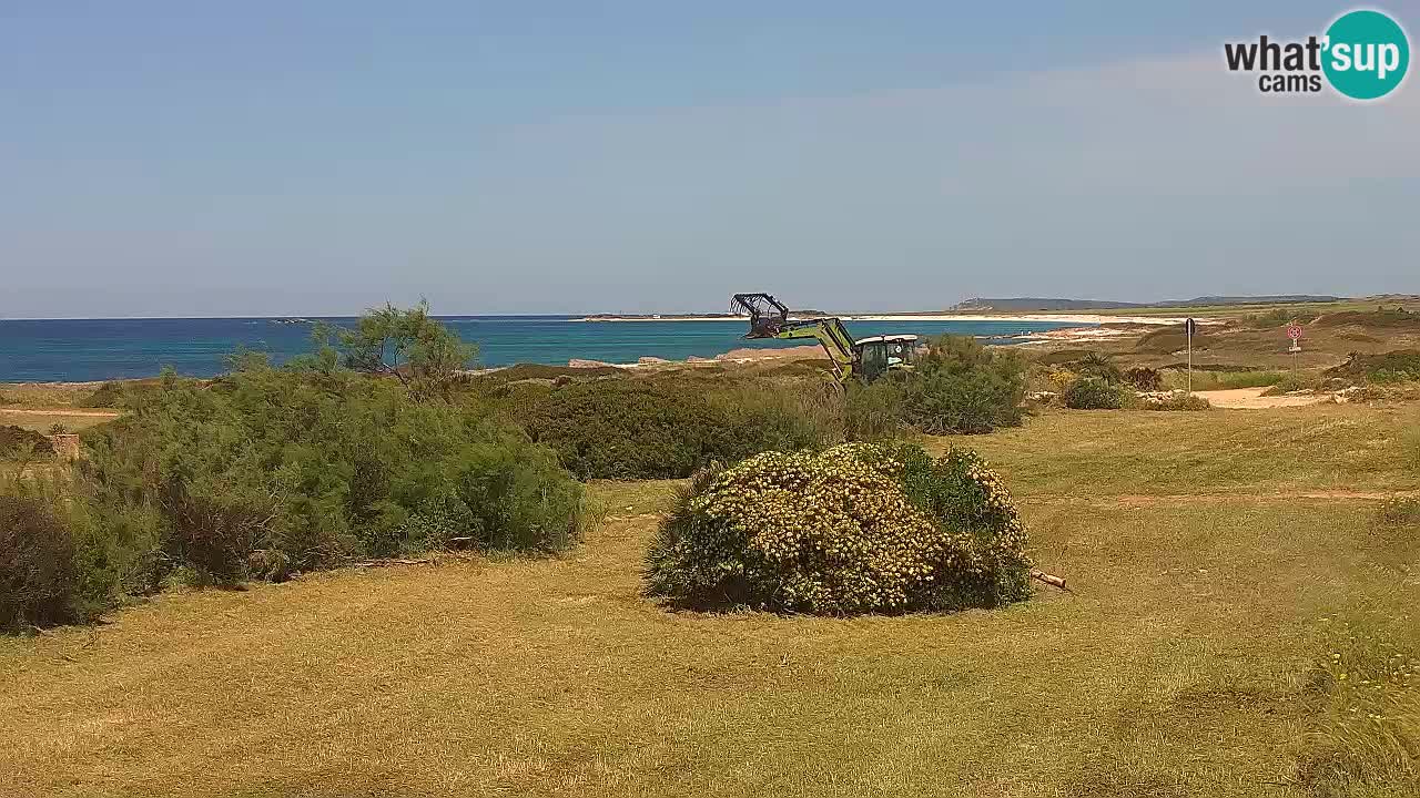 Mari Ermi Strand | Is Arutas – Oristano