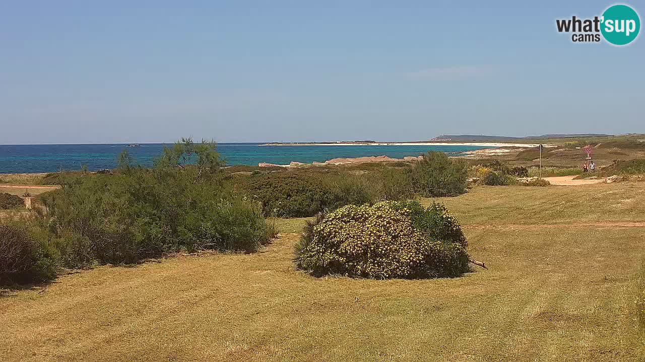 Plaža Mari Ermi | Is Arutas – Oristano
