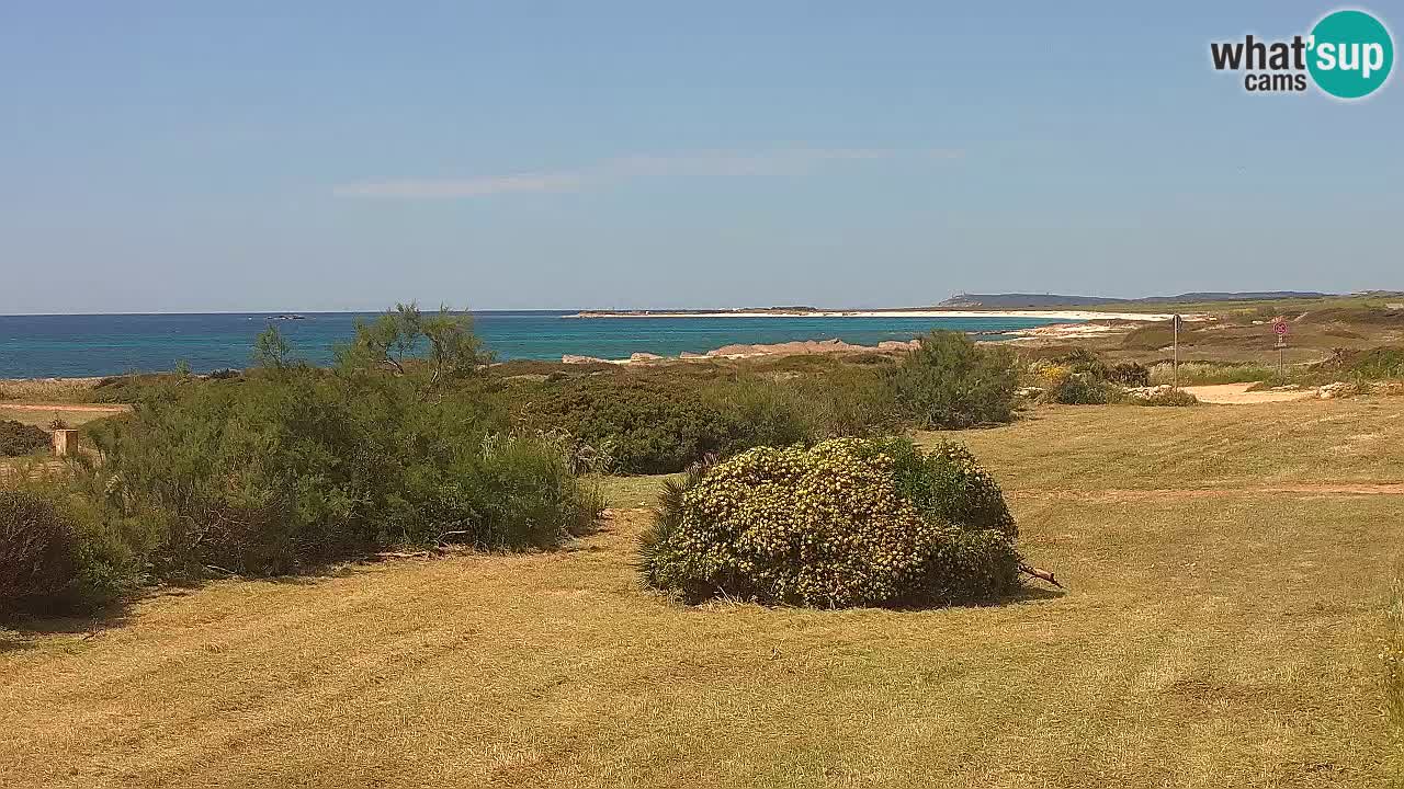 Plage Mari Ermi | Is Arutas – Oristano