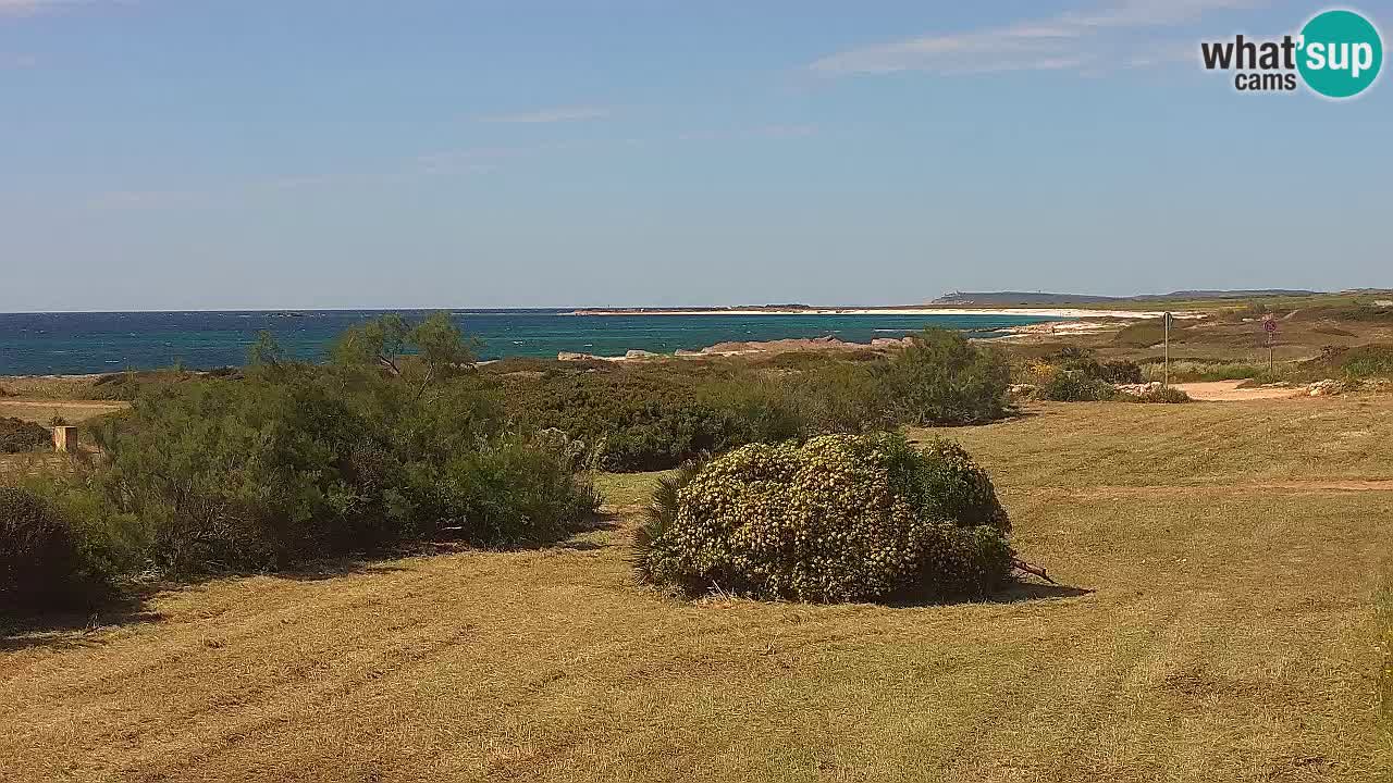 Mari Ermi beach | Is Arutas – Oristano