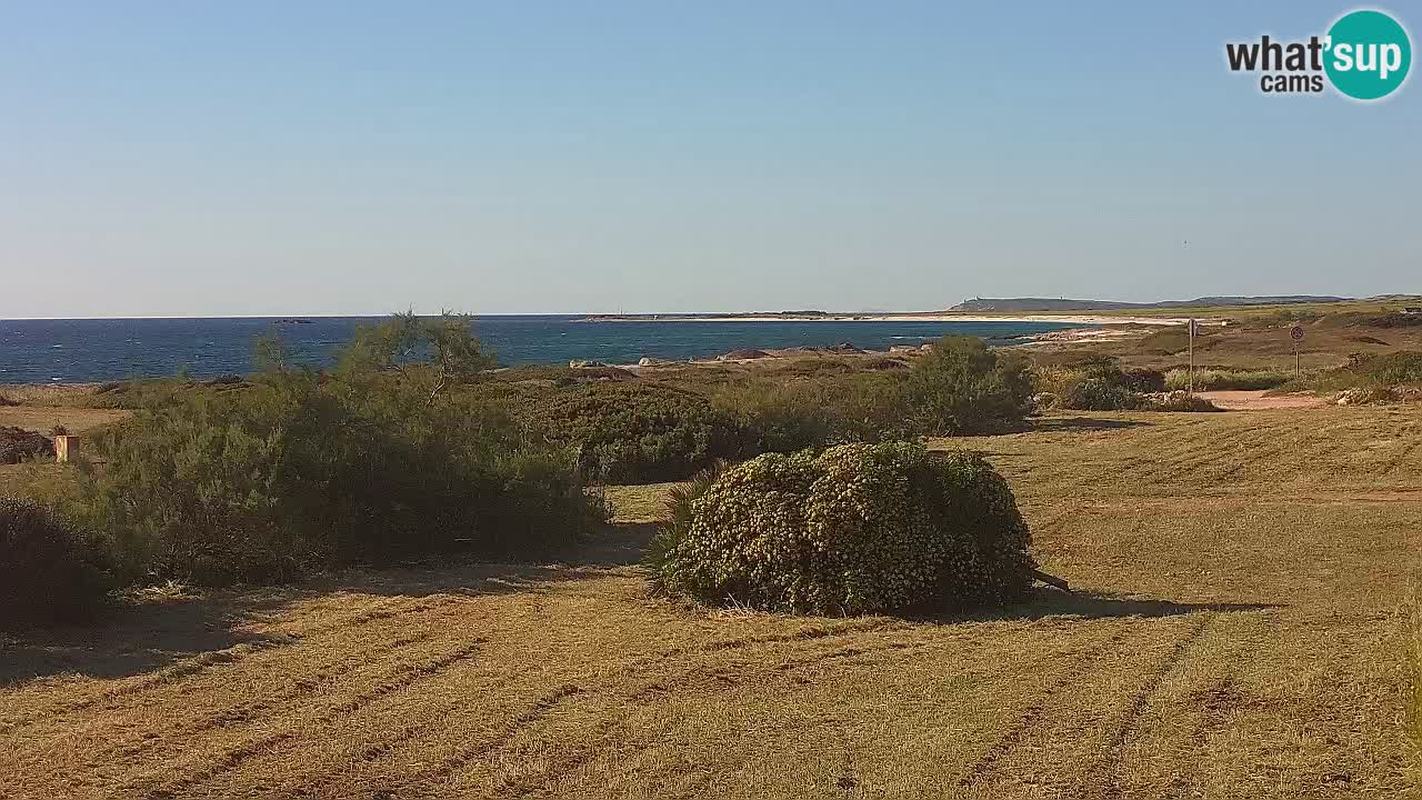 Mari Ermi Strand | Is Arutas – Oristano