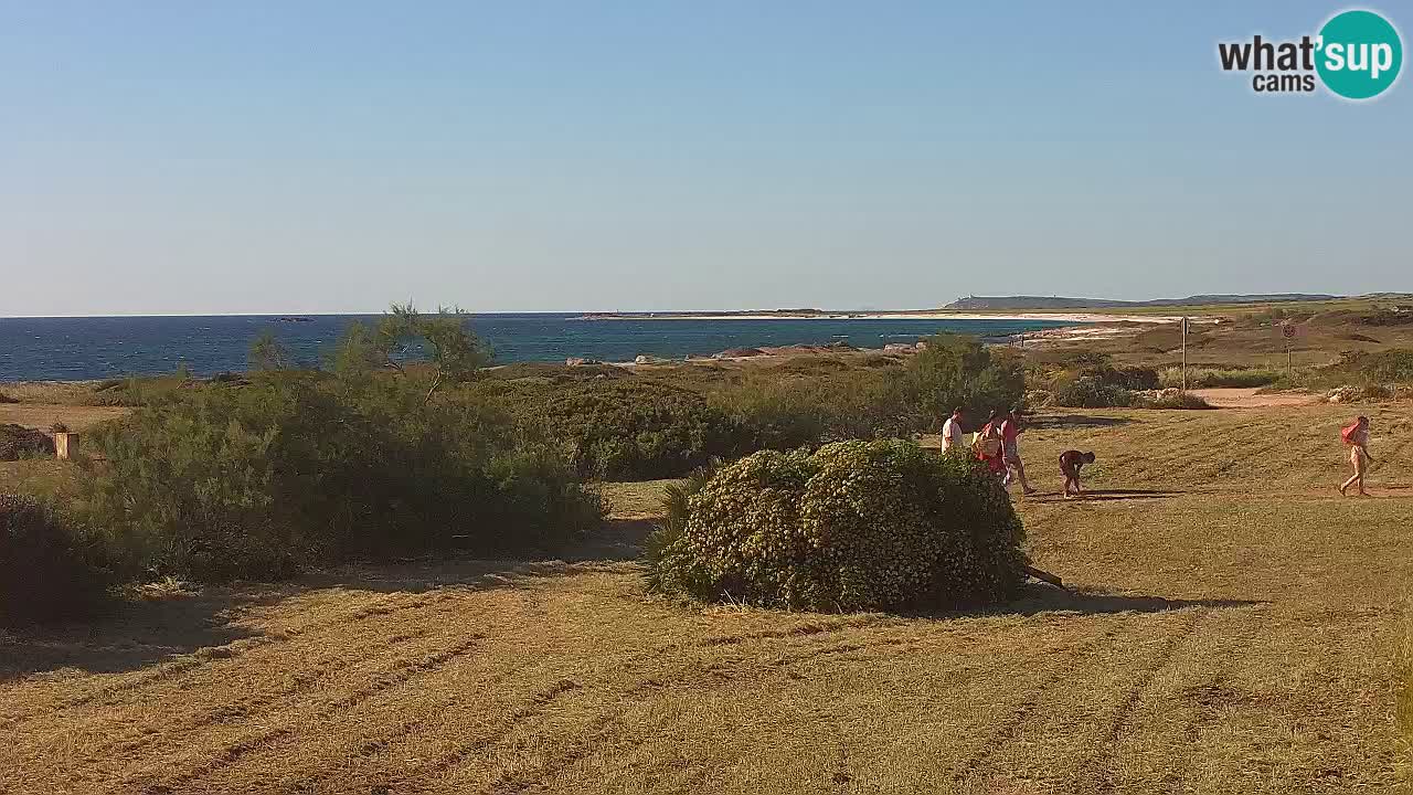 Plage Mari Ermi | Is Arutas – Oristano