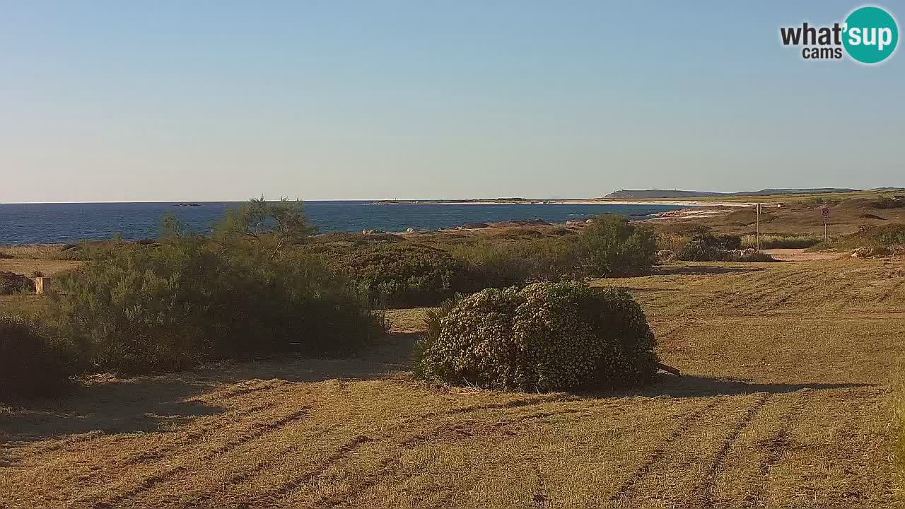 Playa Mari Ermi | Is Arutas – Oristano