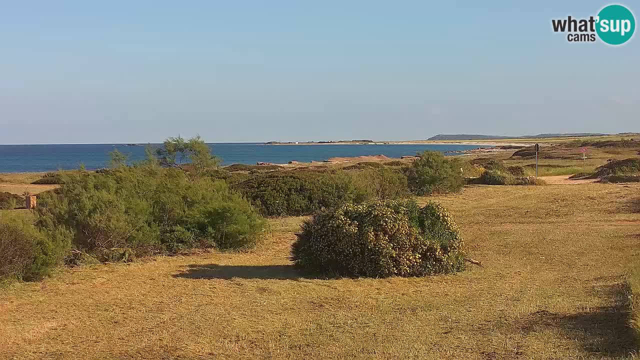 Plaža Mari Ermi | Is Arutas – Oristano