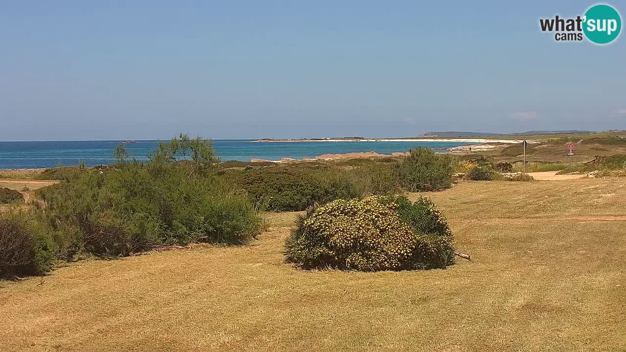 Playa Mari Ermi | Is Arutas – Oristano