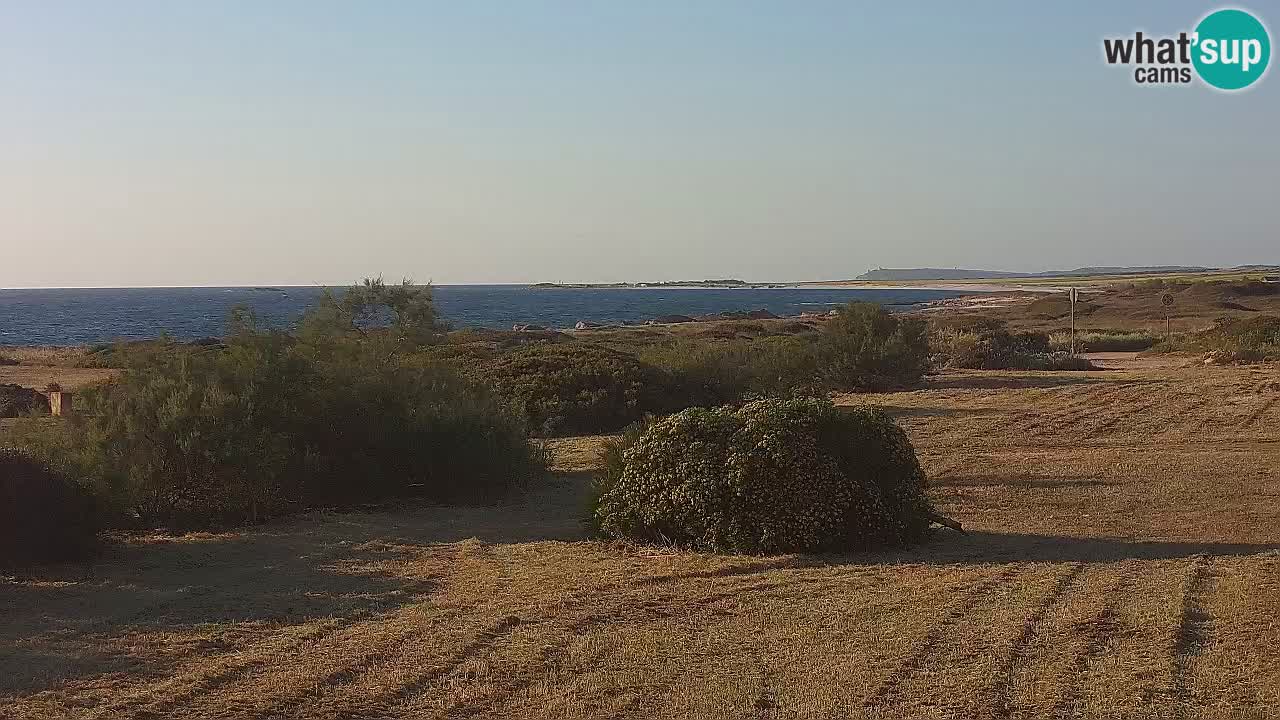Spiaggia Mari Ermi | Is Arutas – Oristano