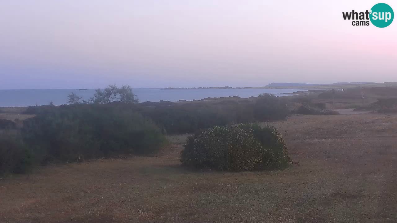 Plaža Mari Ermi | Is Arutas – Oristano