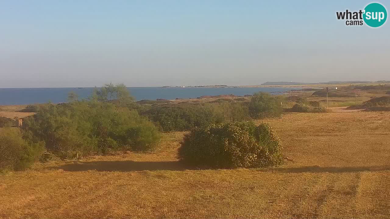 Mari Ermi Strand | Is Arutas – Oristano