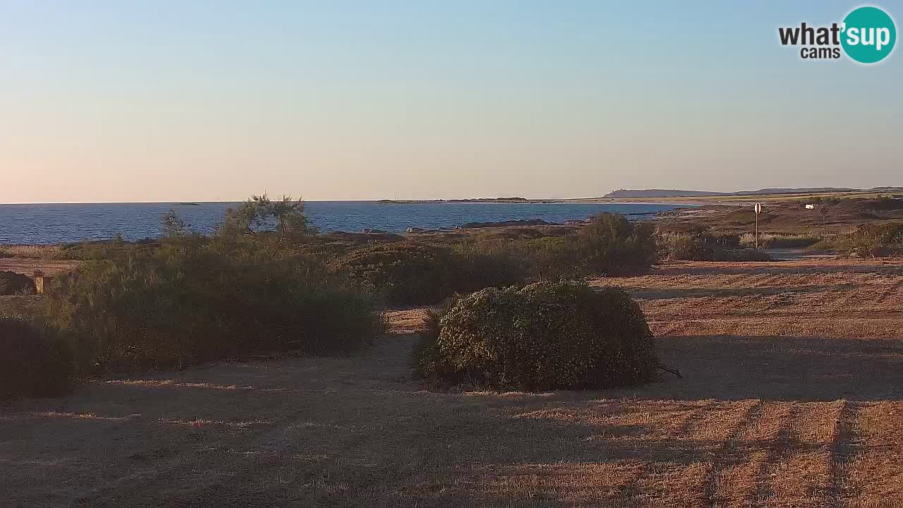 Mari Ermi beach | Is Arutas – Oristano