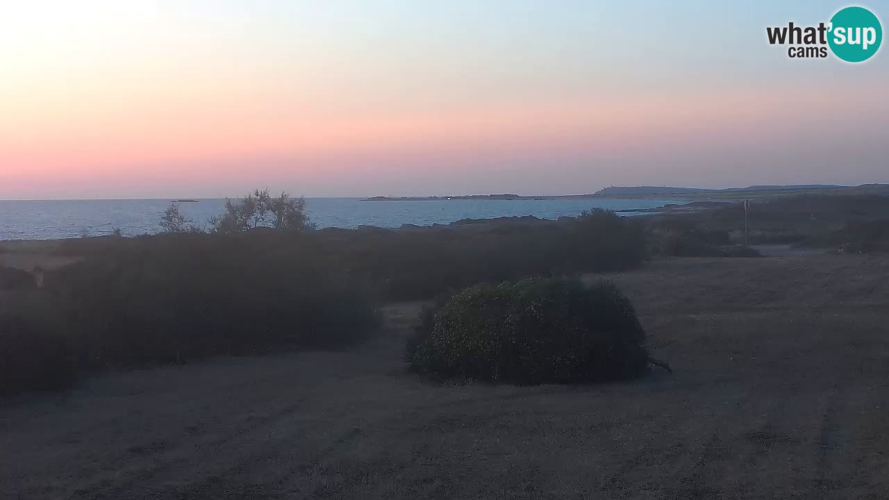 Mari Ermi Strand | Is Arutas – Oristano