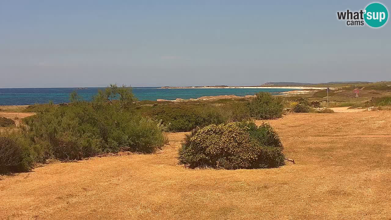 Plage Mari Ermi | Is Arutas – Oristano