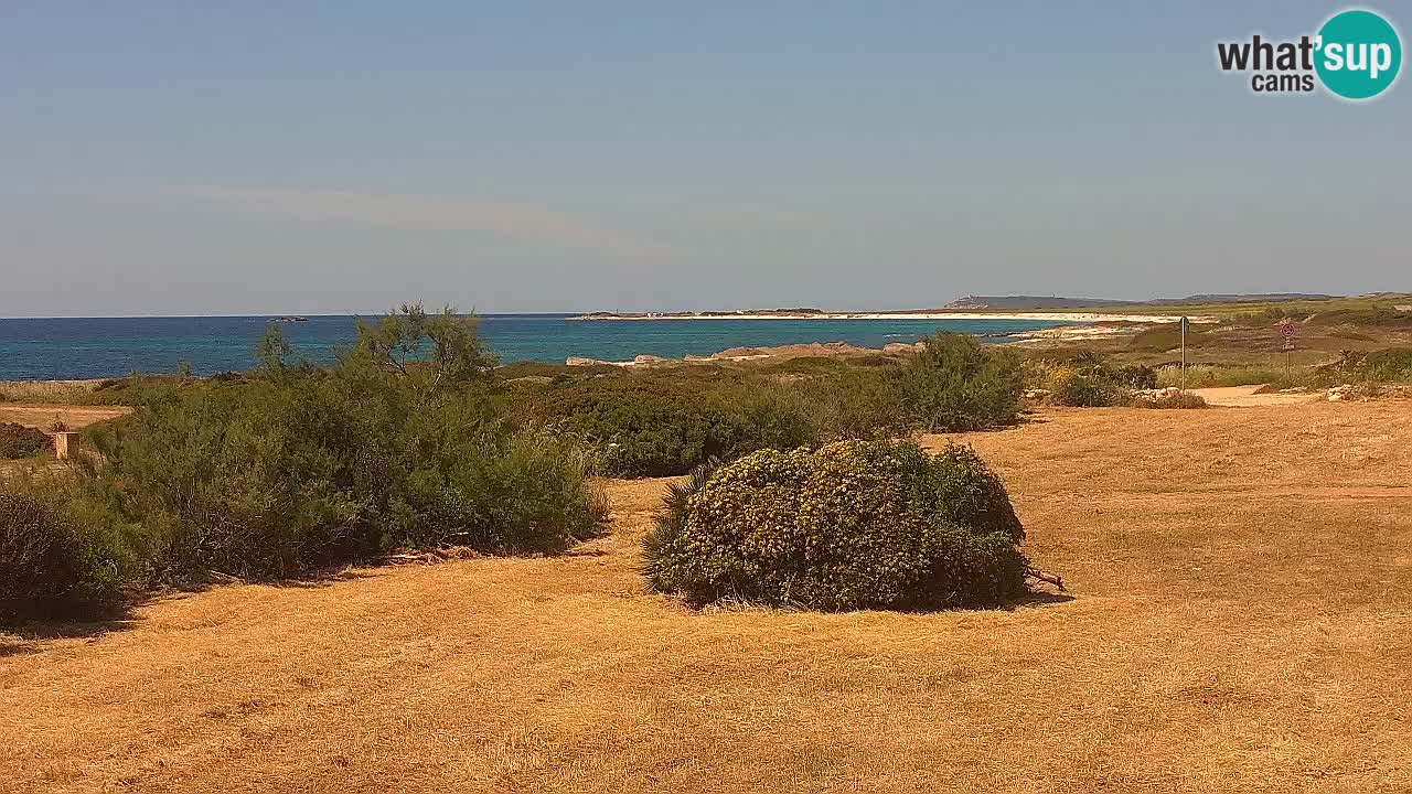 Spiaggia Mari Ermi | Is Arutas – Oristano