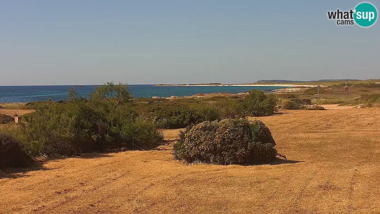 Plage Mari Ermi | Is Arutas – Oristano