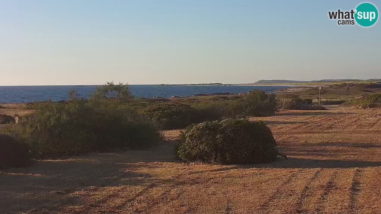 Mari Ermi Strand | Is Arutas – Oristano