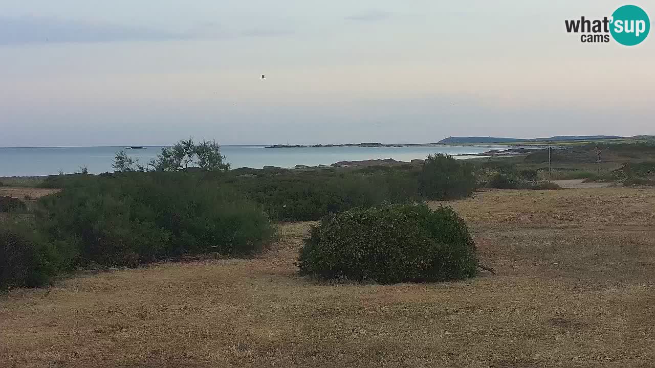 Plage Mari Ermi | Is Arutas – Oristano