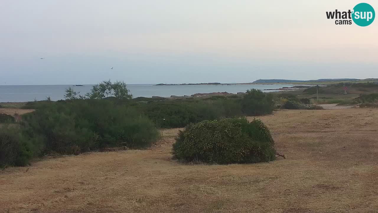 Playa Mari Ermi | Is Arutas – Oristano