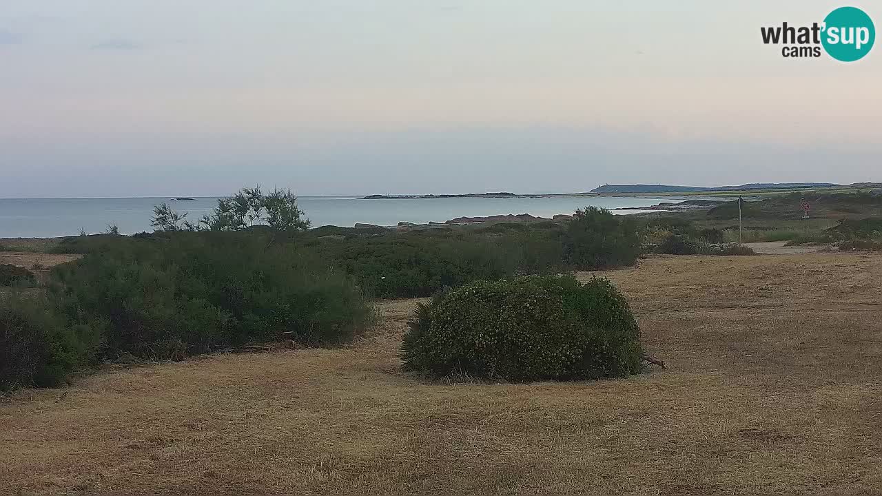 Plage Mari Ermi | Is Arutas – Oristano