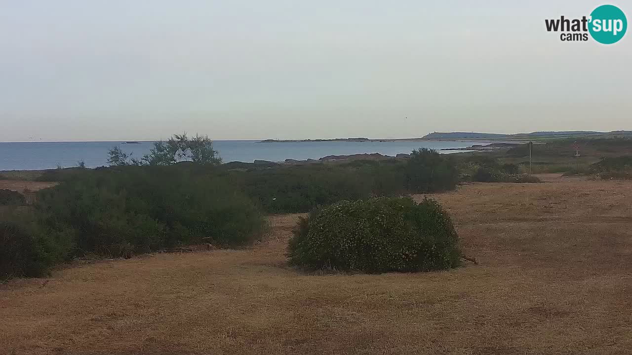 Playa Mari Ermi | Is Arutas – Oristano