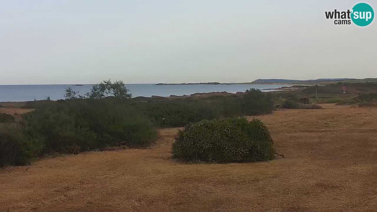 Playa Mari Ermi | Is Arutas – Oristano
