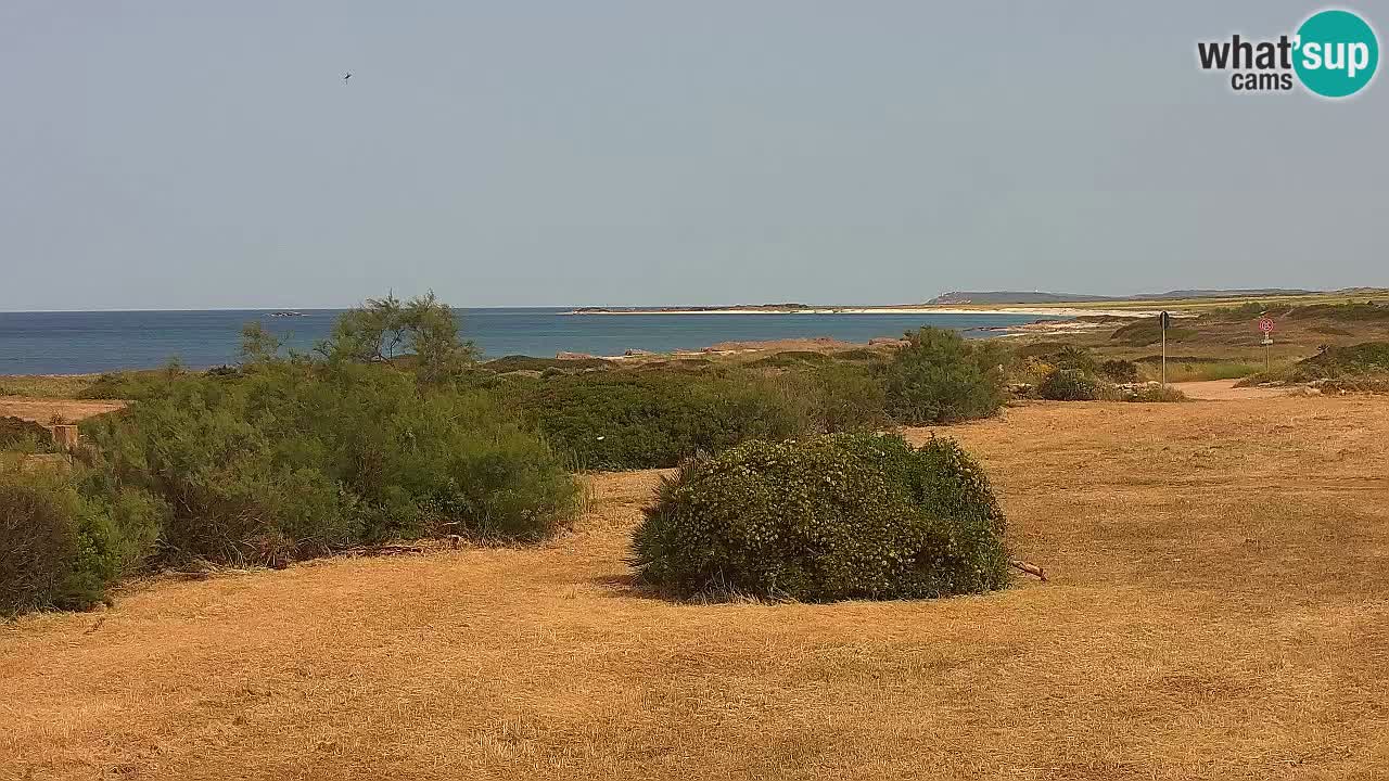 Mari Ermi beach | Is Arutas – Oristano